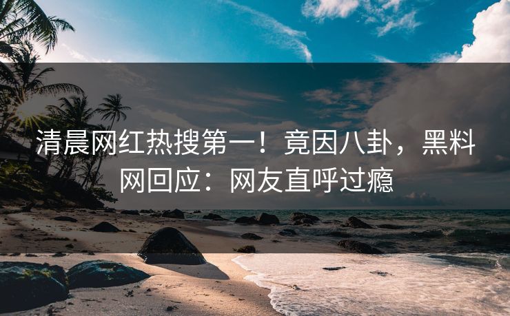 清晨网红热搜第一！竟因八卦，黑料网回应：网友直呼过瘾
