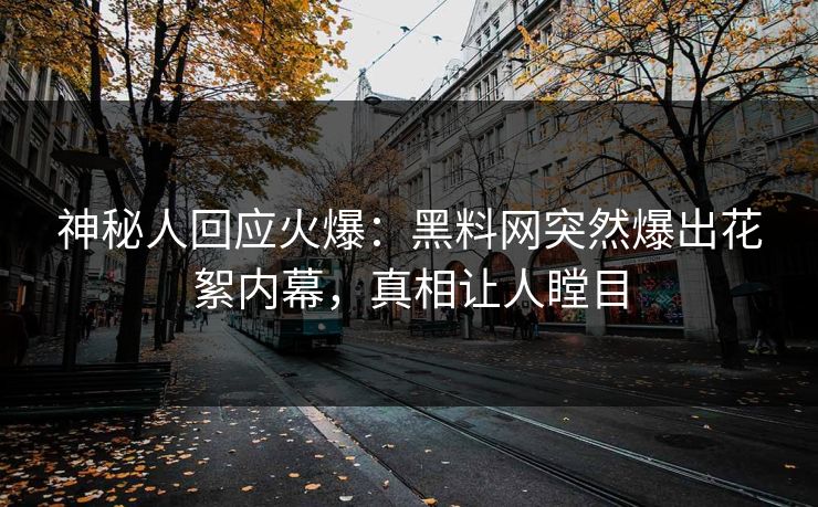 神秘人回应火爆：黑料网突然爆出花絮内幕，真相让人瞠目