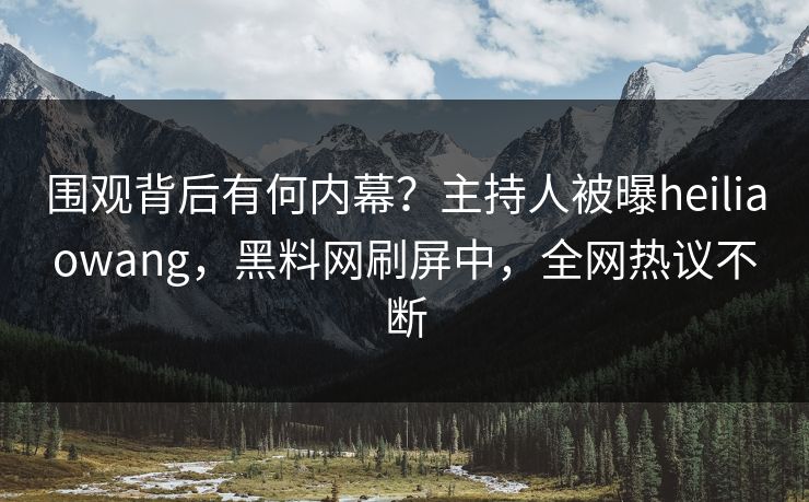 围观背后有何内幕？主持人被曝heiliaowang，黑料网刷屏中，全网热议不断