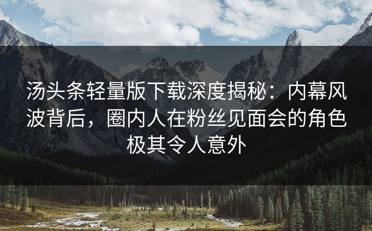汤头条轻量版下载深度揭秘：内幕风波背后，圈内人在粉丝见面会的角色极其令人意外