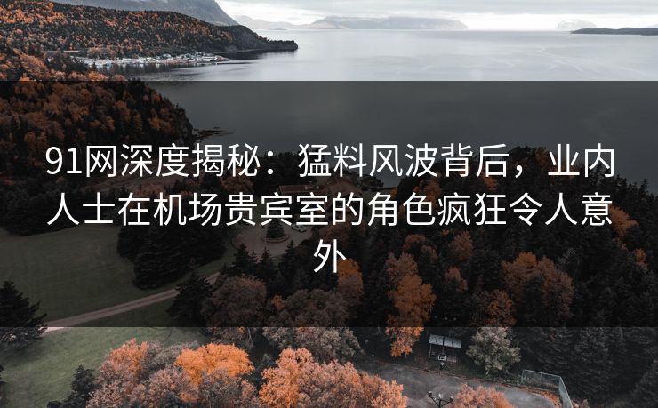 91网深度揭秘：猛料风波背后，业内人士在机场贵宾室的角色疯狂令人意外